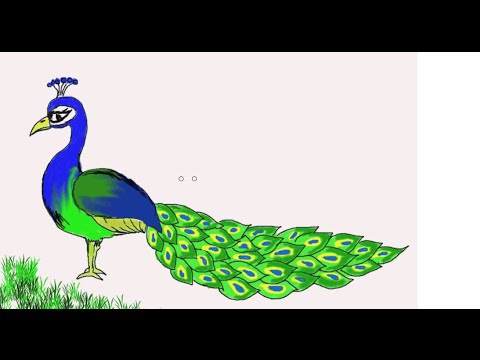 480x360 Easy Kids Drawing Lessons How To Draw A Peacock - Simple Peacock Sketch