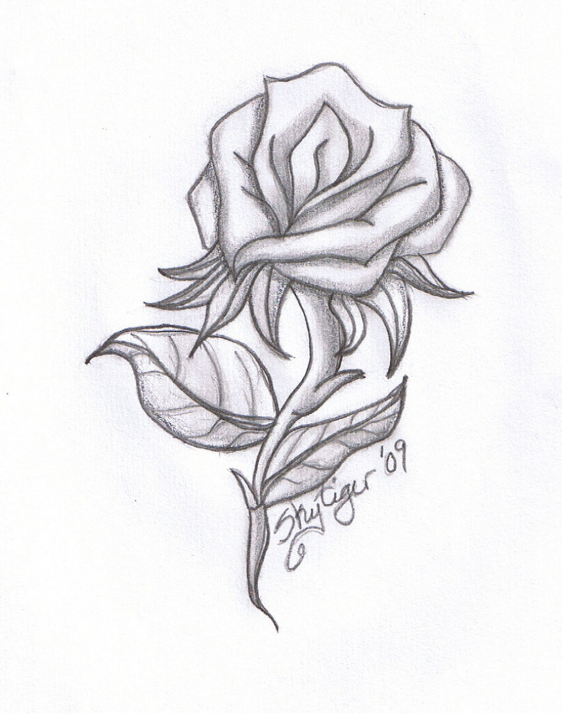 807x1024 Full Flower Drawings In Pencil Of Flowers Step By Step Simple - Simple Pencil Sketches