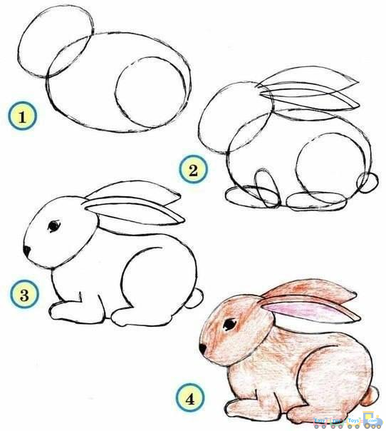 542x604 F70245324fc3fd10308988c7a260c03beasy To Draw Rabbit Awesome - Simple Rabbit Sketch