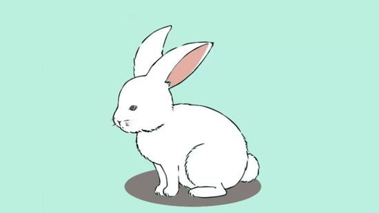 550x309 How To Draw A Bunny 13 Steps (With Pictures) - Simple Rabbit Sketch