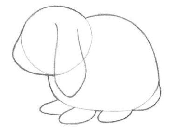 566x421 Learn How To Draw A Bunny Rabbit Quarto Knows Blog - Simple Rabbit Sketch