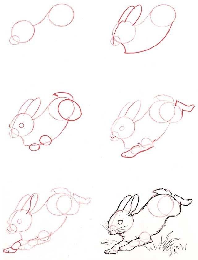640x840 Simple Rabbit Sketch. Sketchingdrawing Tips - Simple Rabbit Sketch