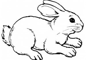300x210 Bunny Drawing Simple How To Draw A Simple Rabbit Bunny Drawing - Simple Rabbit Sketch