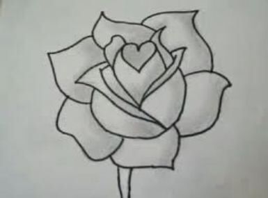 385x285 Rose Flower Draw Easy Ideas Sketches - Simple Rose Flower Sketch