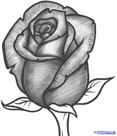 236x274 Roses Drawings Simple Rose Drawing House Decor - Simple Rose Flower Sketch