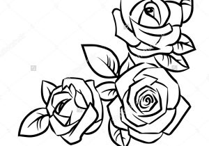 300x210 Simple Rose Flower Drawings How To Draw A Rose Flower Easy Line - Simple Rose Sketch