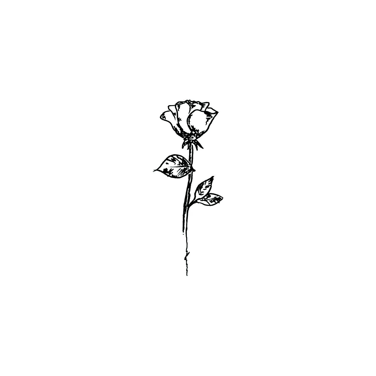 55 Free Download Tattoo Simple Rose HD Tattoo