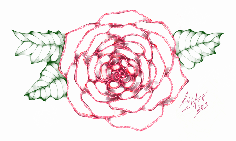 900x538 A Simple Rose Sketch Art By Rroxyann - Simple Rose Sketch