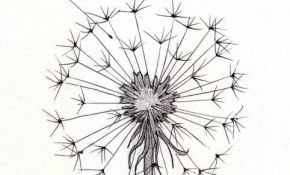290x175 Easy Simple Rose Drawing Fresh Dandelion Sketch 1 - Simple Rose Sketch Step By Step