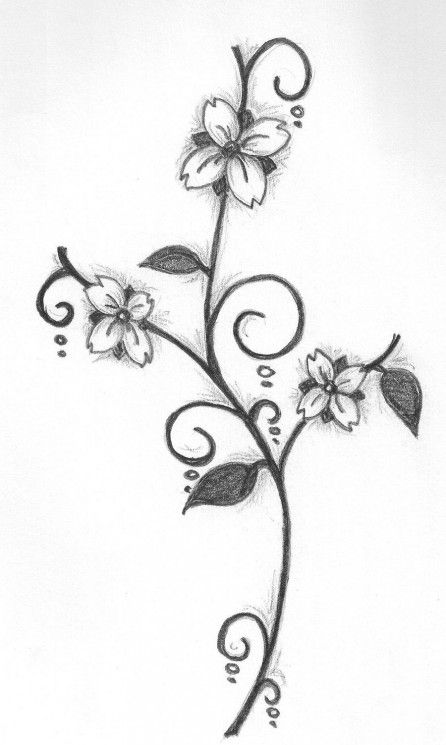 446x745 Flowers Drawings In Pencil Step By Step. Flower Easy Pencil - Simple Rose Sketch Step By Step