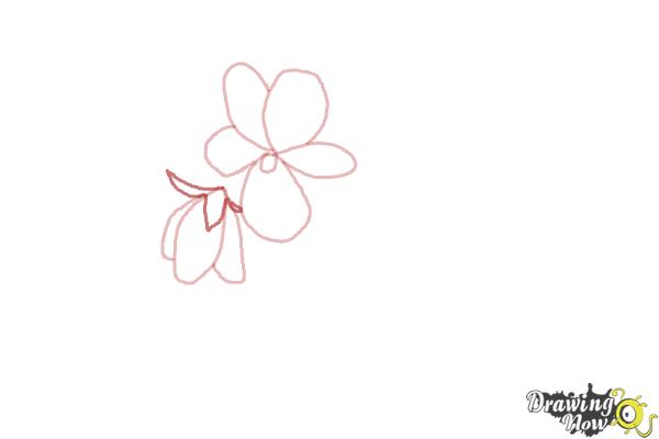 600x400 How To Draw Simple Flowers - Simple Rose Sketch Step By Step