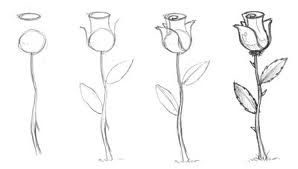 298x169 Rosas!!! Dibujo Google, Draw And Searching - Simple Rose Sketch Step By Step