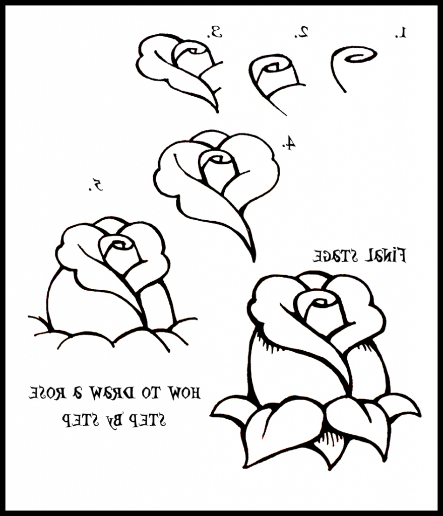 879x1024 Simple Drawings Step By Step Simple Drawing Stepstep Easy Things - Simple Rose Sketch Step By Step