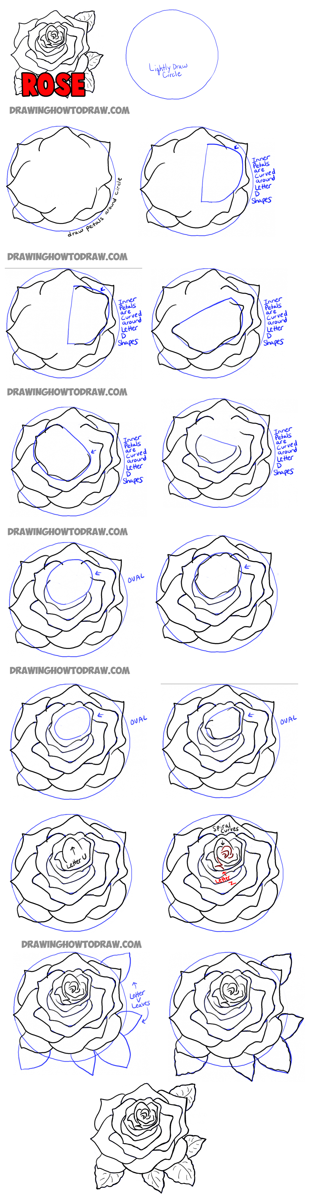1100x4196 Simple Rose Drawing Steps How To Draw Roses Opening In Full Bloom - Simple Rose Sketch Step By Step