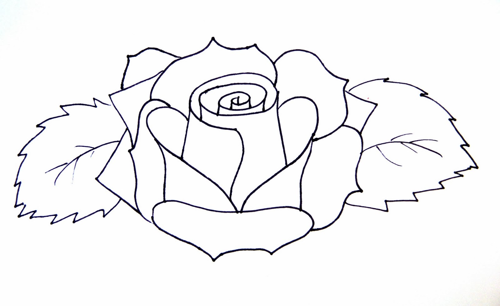 Simple Rose Sketch Step By Step at PaintingValley.com | Explore ...