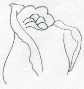 277x294 Draw A Rose Quickly, Simply And Easily - Simple Rose Sketch Step By Step