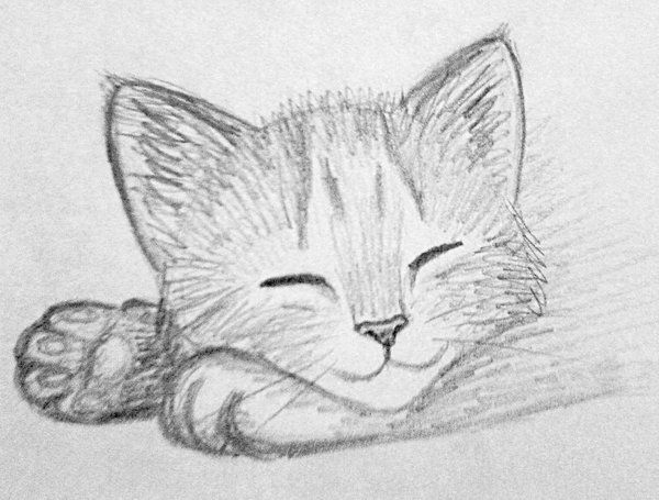 600x455 Kitten Sketch 3 Kridah Art Ill Simple - Simple Sketch Ideas
