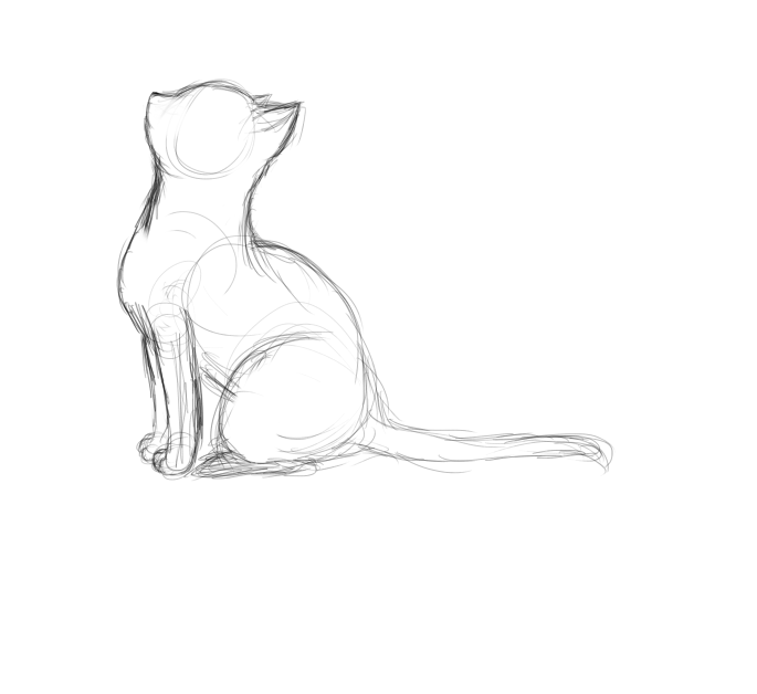685x628 Cat Wip Simple Sketch By Crummy Juncture - Simple Sketch Images