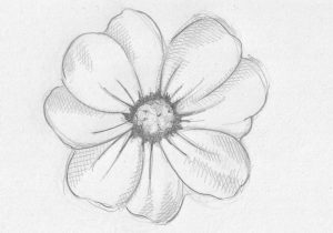 Featured image of post Aesthetic Drawing Ideas Easy Flowers : 10 birthday card ideas for adults learn.