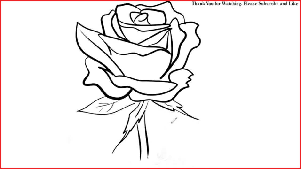 1280x720 Simple Line Drawings 133791 How To Draw A Rose Flower Easy Line - Simple Sketch Of A Flower