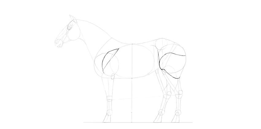 850x420 How To Draw A Horse Step By Step - Simple Sketch Of A Horse