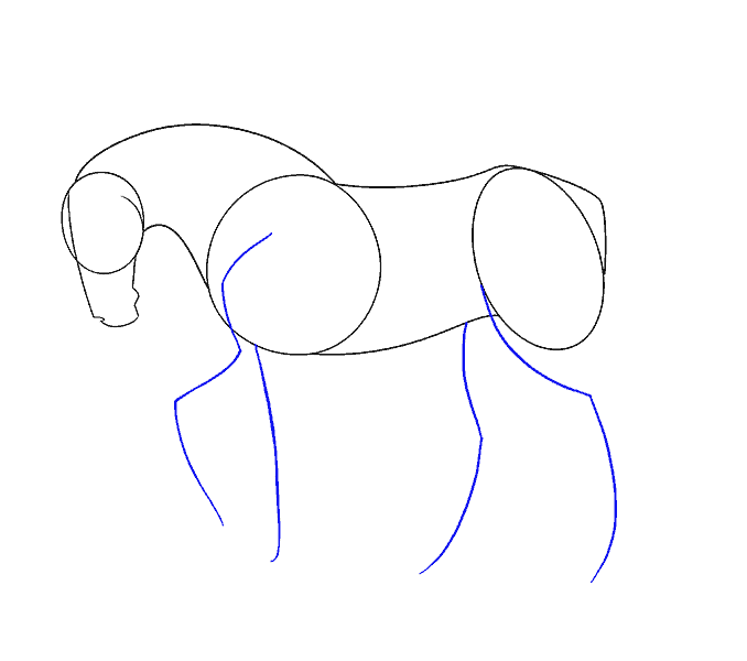 678x600 How To Draw A Simple Horse Easy Drawing Guides - Simple Sketch Of A Horse