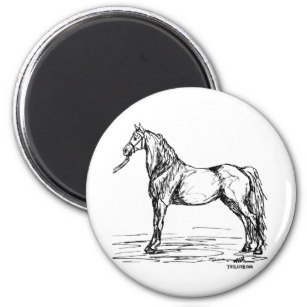 307x307 Simple Horse Gifts Amp Gift Ideas Zazzle Uk - Simple Sketch Of A Horse