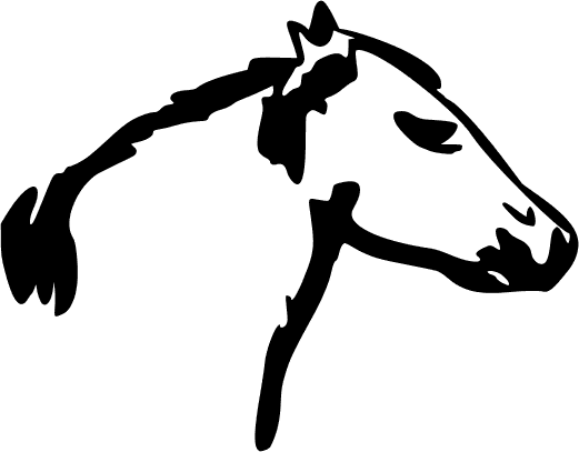 521x407 Horse Head Simple Sketch - Simple Sketch Of A Horse