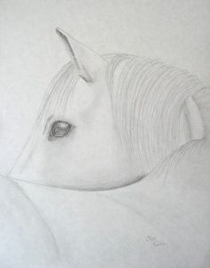236x301 Good, Simple Horse Sketch Idea. Drawing Ideas - Simple Sketch Of A Horse