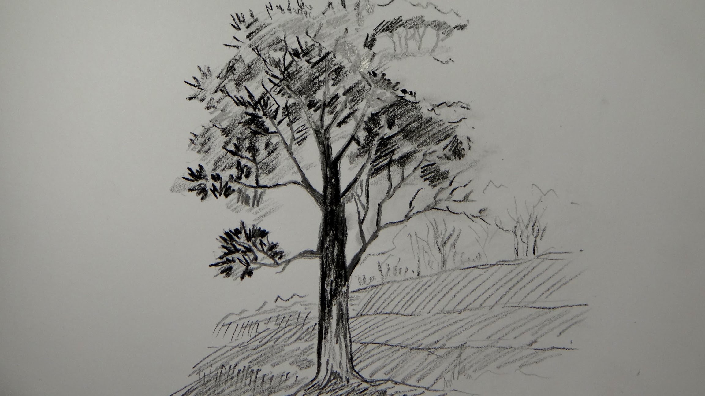 2304x1296 How To Draw A Tree Using Pencil (A Simple Tree) - Simple Sketch Of A Tree
