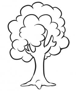 251x302 How To Draw How To Draw A Simple Tree - Simple Sketch Of A Tree