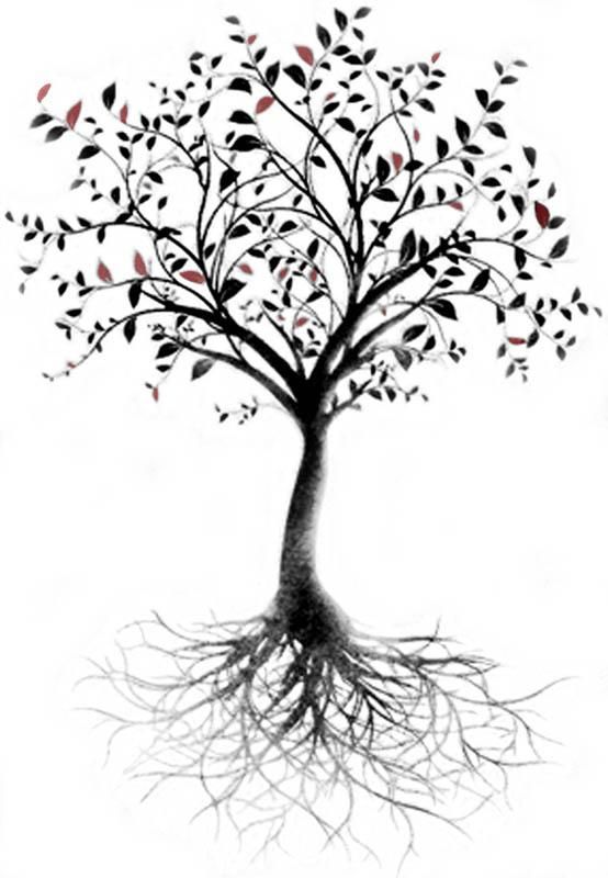 554x800 Simple Sketch Of Tree Roots Tattoos Idea - Simple Sketch Of A Tree