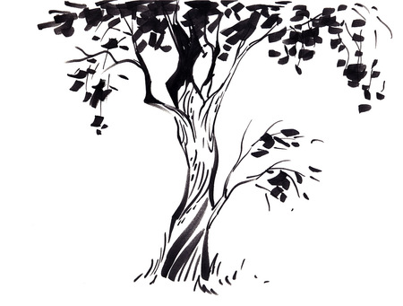 450x341 Tree - Simple Sketch Of A Tree