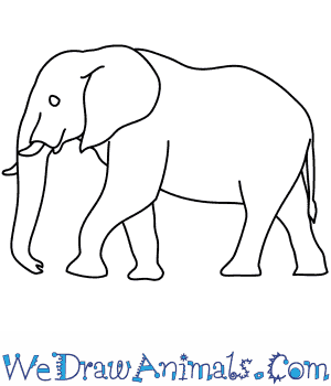 300x350 How To Draw An African Elephant - Simple Sketch Of Elephant