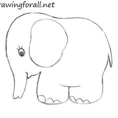 236x236 Simple - Simple Sketch Of Elephant
