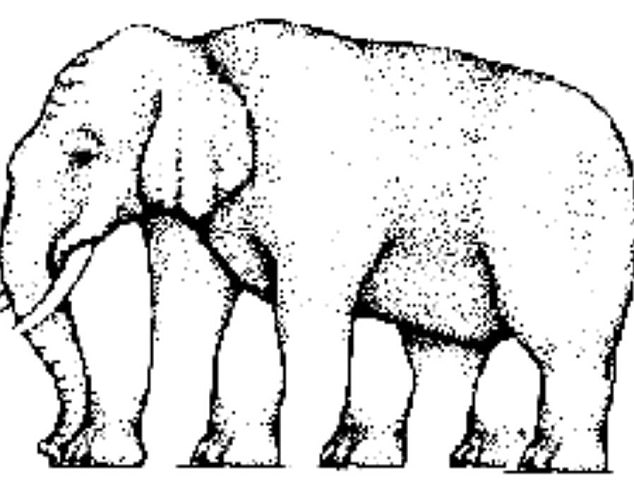 634x495 Elephant Optical Illusion Baffles The Internet Daily Mail Online - Simple Sketch Of Elephant