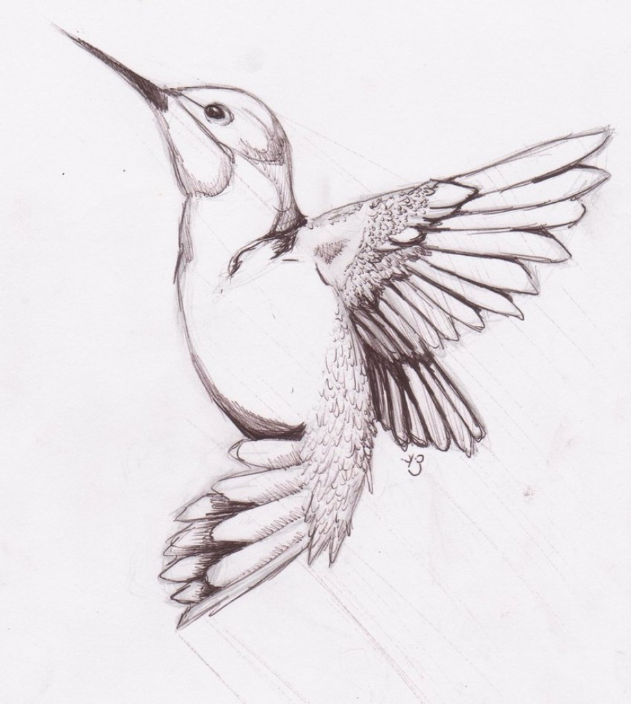 918x1024 Gallery Simple Sketch Of A Bird, - Simple Sketch Pictures