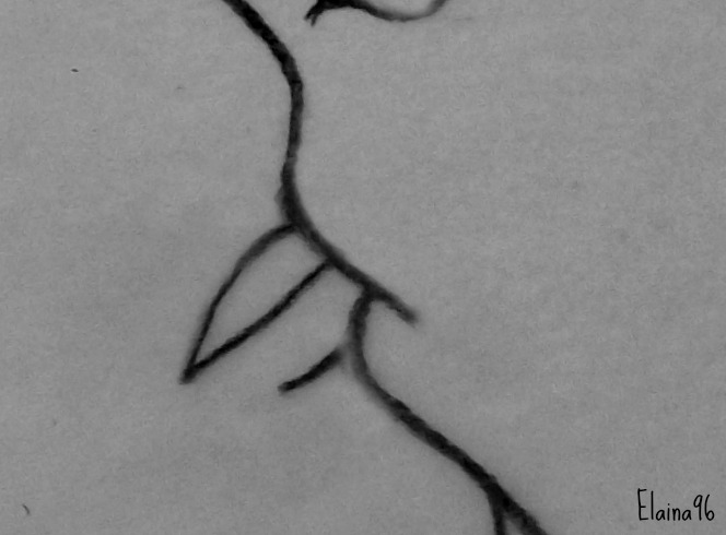 664x490 Something Simple. Sketch By Elaina96 - Simple Sketch Pictures