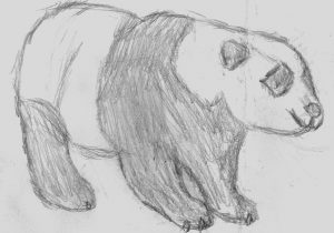 300x210 Simple Sketches Of Animals Simple Sketches Of Animals How To - Simple Sketches Of Animals