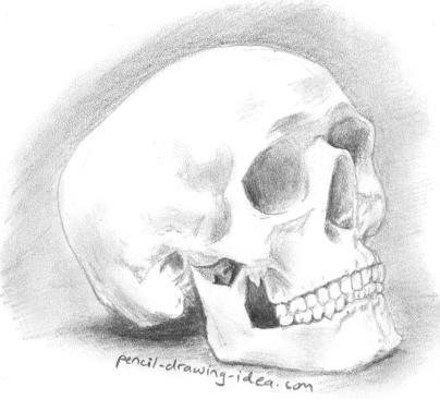 404x366 Pencil Drawing Of A Skull, Easy Steps On How To Draw A Skull - Simple Skull Sketch