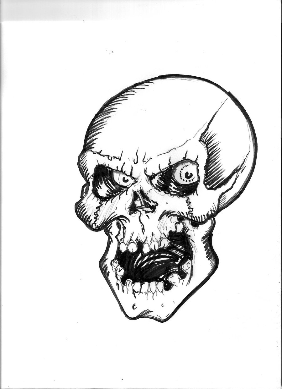 Simple Skull Sketch at PaintingValley.com | Explore collection of ...