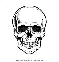 236x246 89 Best Simple Skull Images Anatomy Reference - Simple Skull Sketch