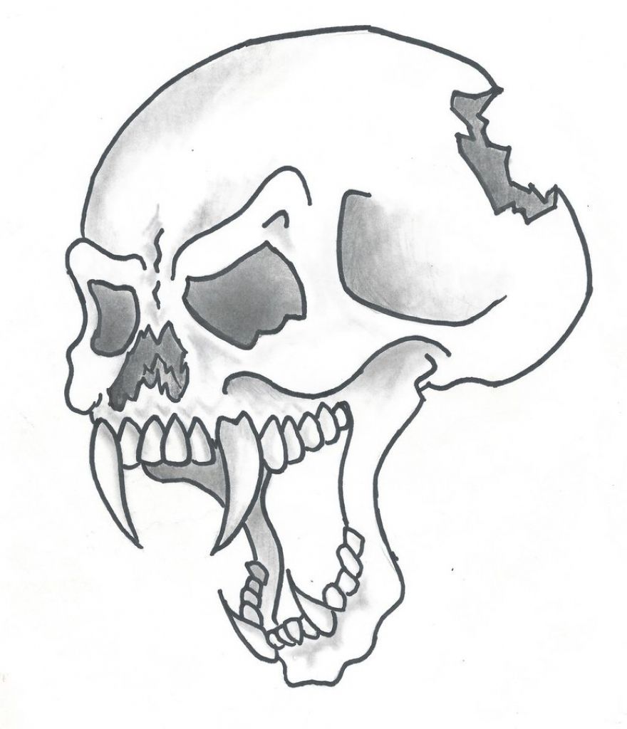 880x1024 Cool Drawing Of Skulls - Simple Skull Sketch