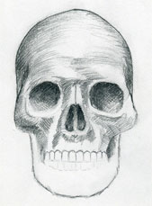 169x229 Draw Skulls Can Be This Easy - Simple Skull Sketch