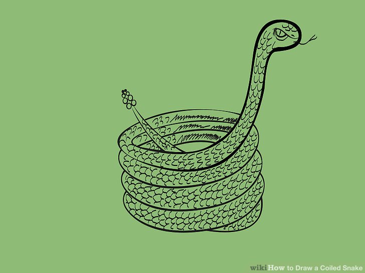 728x546 How To Draw A Coiled Snake 10 Steps (With Pictures) - Simple Snake Sketch