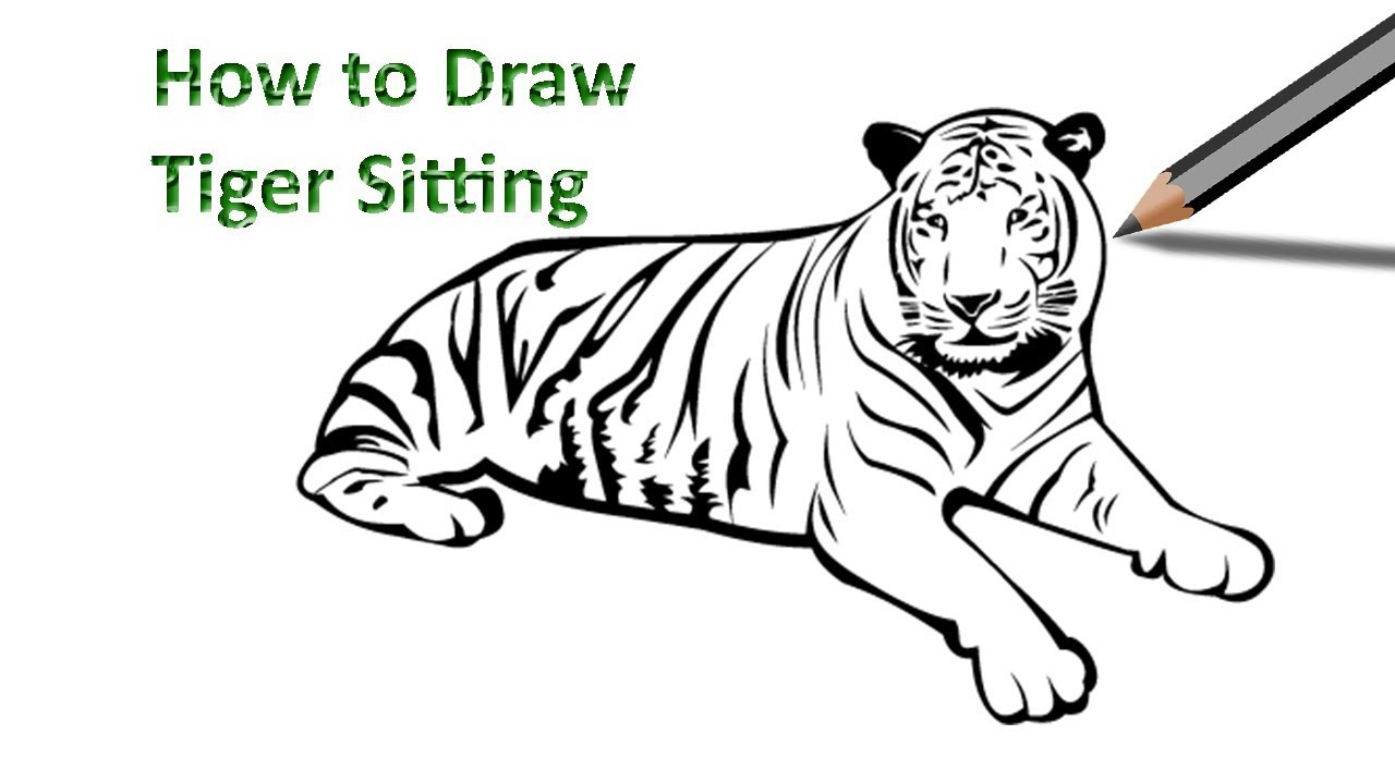 1280x720 How To Draw A Tiger Sitting Easy Drawing Step By Step - Simple Tiger Sketch