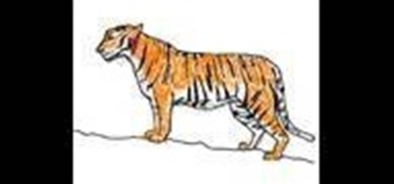 1280x600 How To Draw And Color A Simple Tiger (Tigre) Drawing - Simple Tiger Sketch