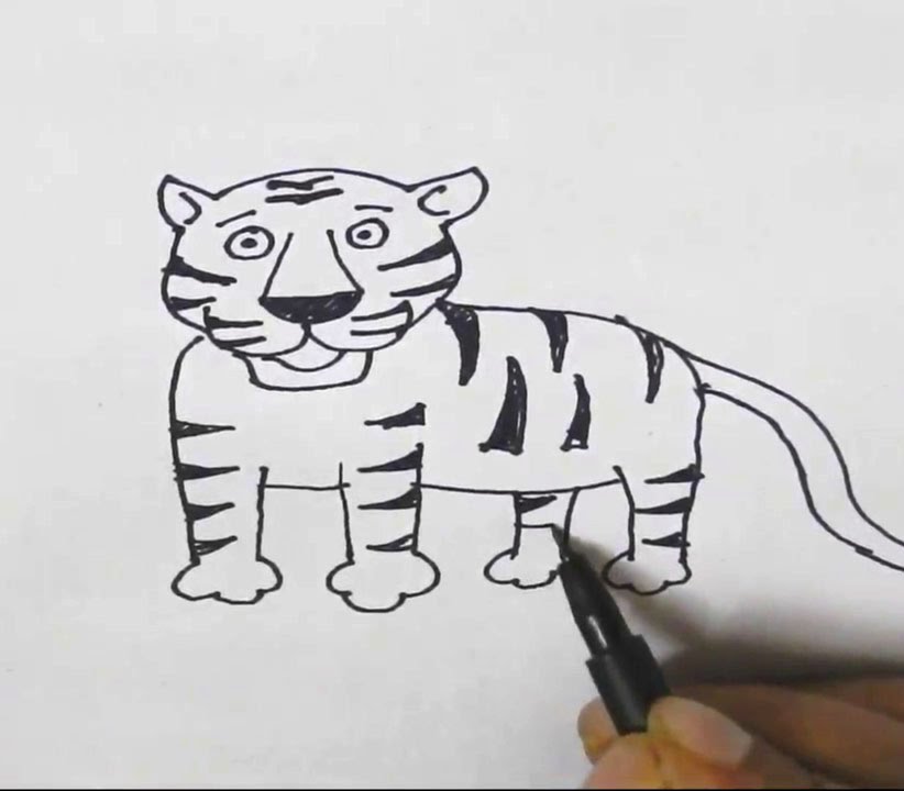 822x720 How To Draw A Tiger In Easy Steps For Children, Kids, Beginners - Simple Tiger Sketch