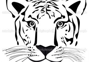 300x210 Easy Tiger Sketch - Simple Tiger Sketch