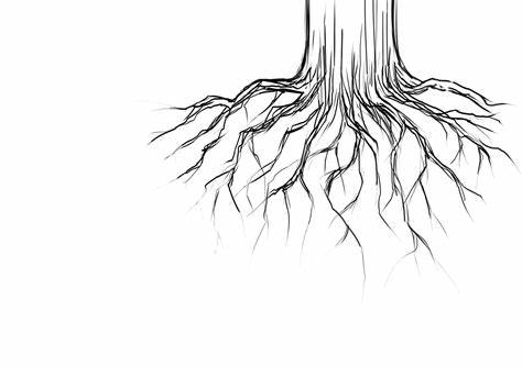 474x334 Simple Tree Drawing With Roots. 13 Tree With Roots Drawing Vector - Simple Tree Sketch